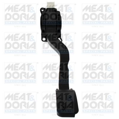 Accelerator Pedal Unit